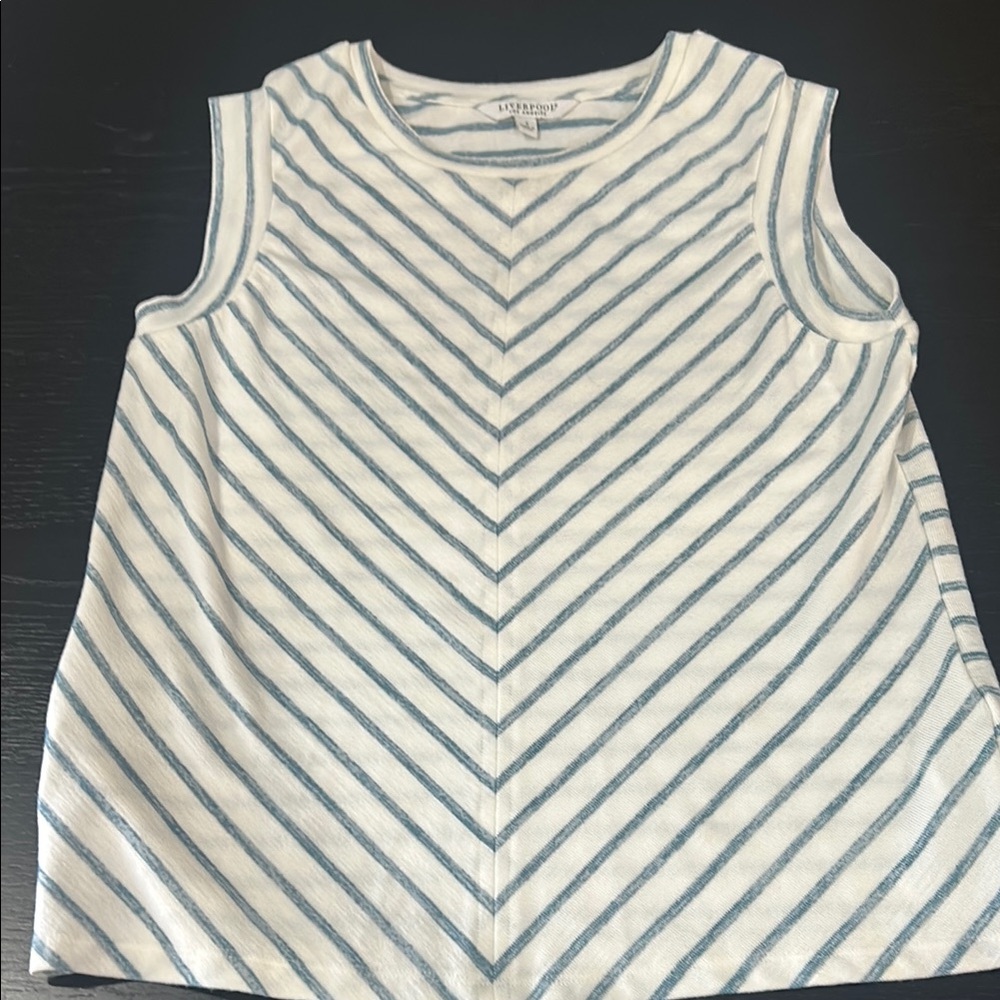 Chevron Striped Sleeveless Top - Blue and White